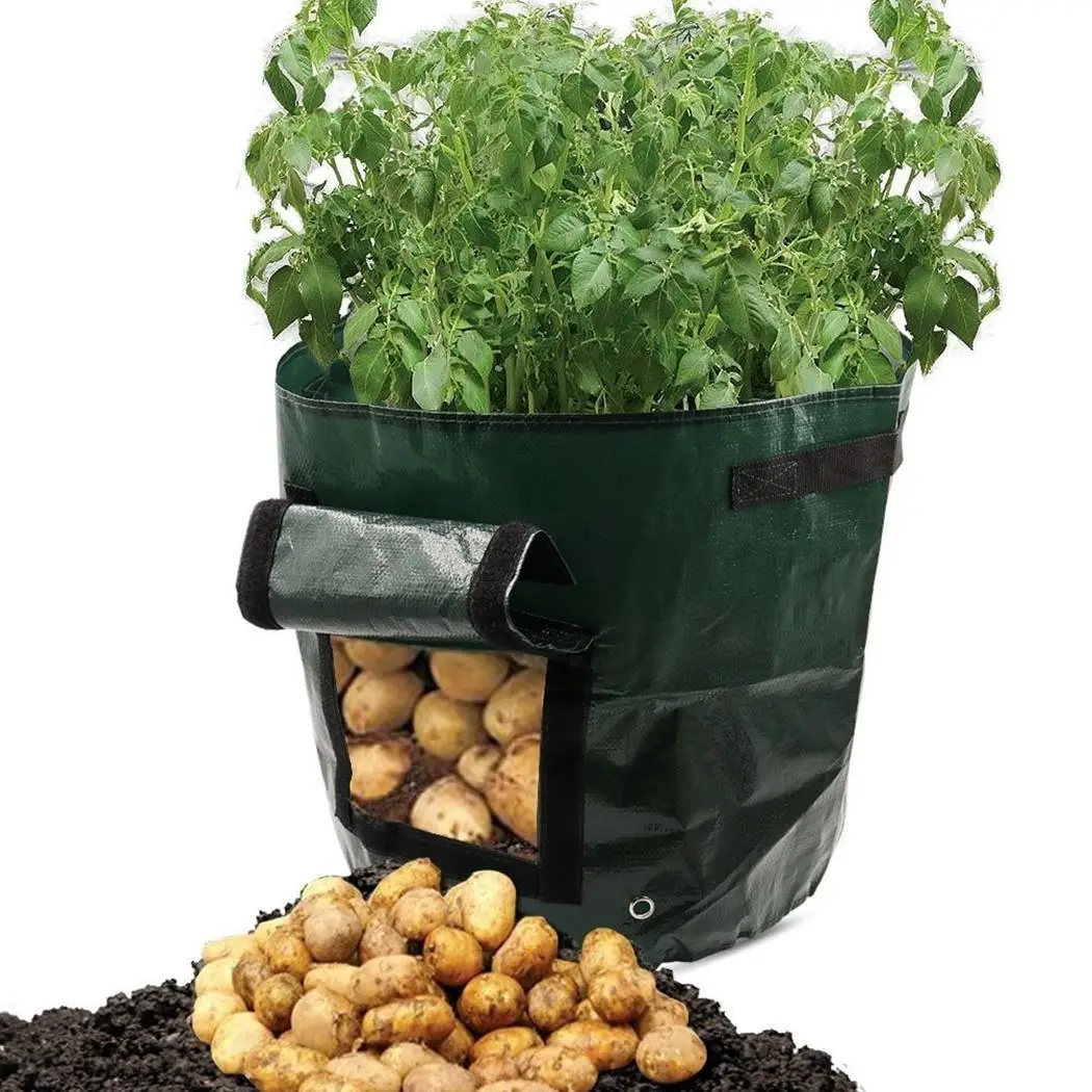 Складной PE мешок для посадки картофеля садовое ведро сделано из материала, прочный и прочный. Мешок для выращивания садовых растений