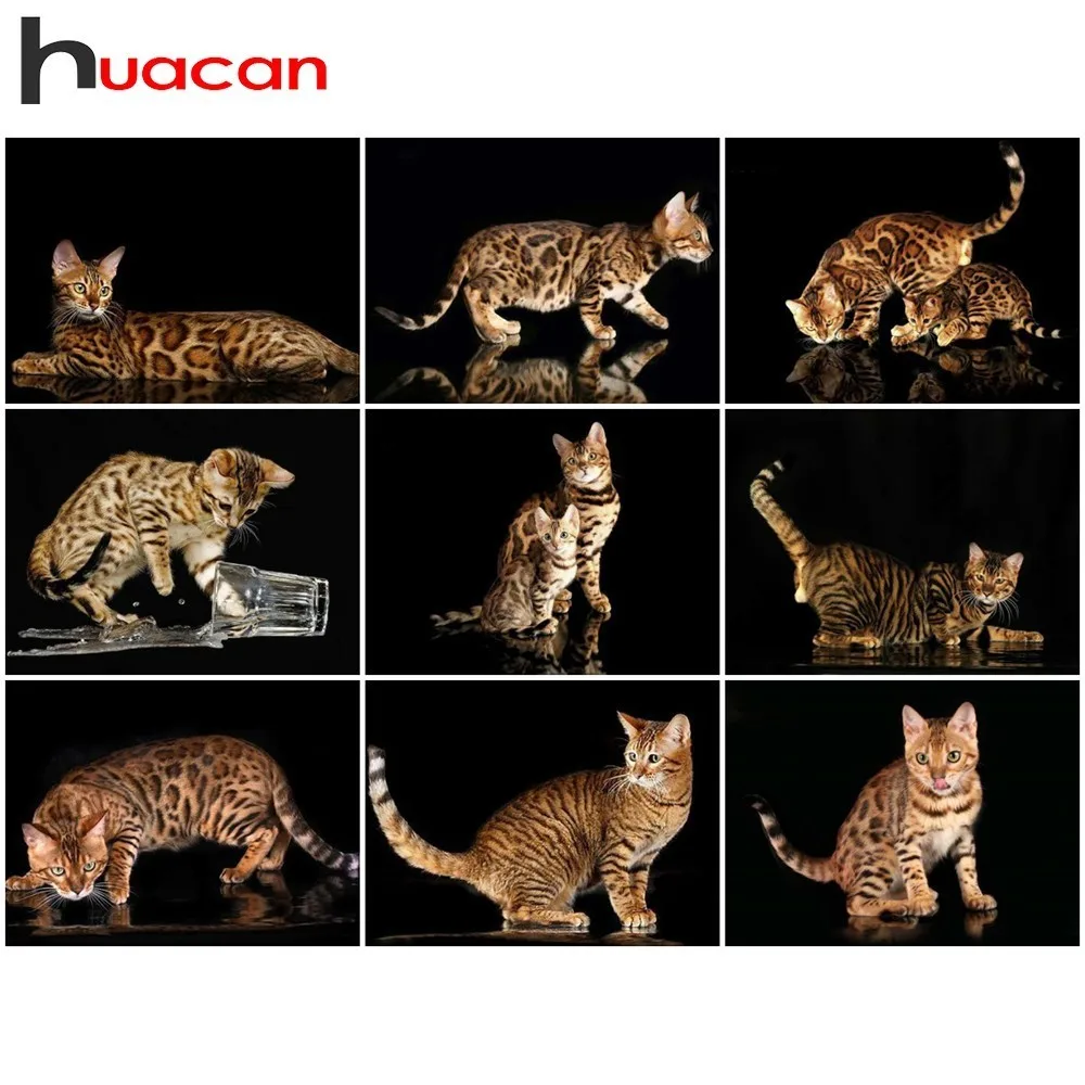 

Huacan 5D Diamond Painting Cross Stitch Cat Pictures Of Rhinestones Diamond Mosaic Animal Square Full Diamond Embroidery Art