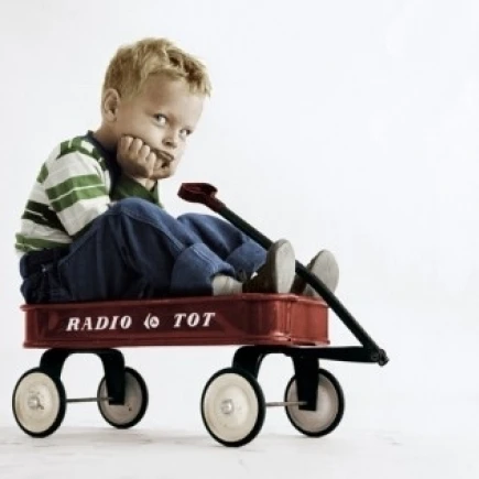 Portrait of boy sitting in wagon Poster Print (24 x 36) | Дом и сад