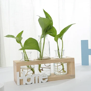 

Small Fresh Transparent Glass Vase Hydroponic Green Plant Container Living Room Desk Table Decoration Ornaments