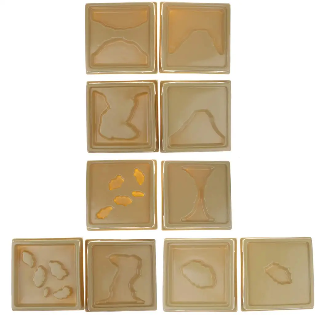 

Montessori Sensory 10 Types Geographical Land Models Enlightenment Development Geography Educational Learning Toy for Kid Child
