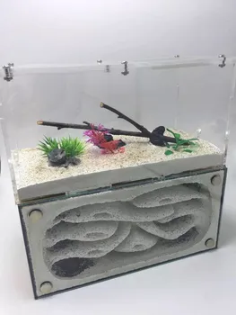 

1PCS Ant Nest Ant Workshop Acrylic Plaster Nest Bubble Concrete Nest New Edition Empire L