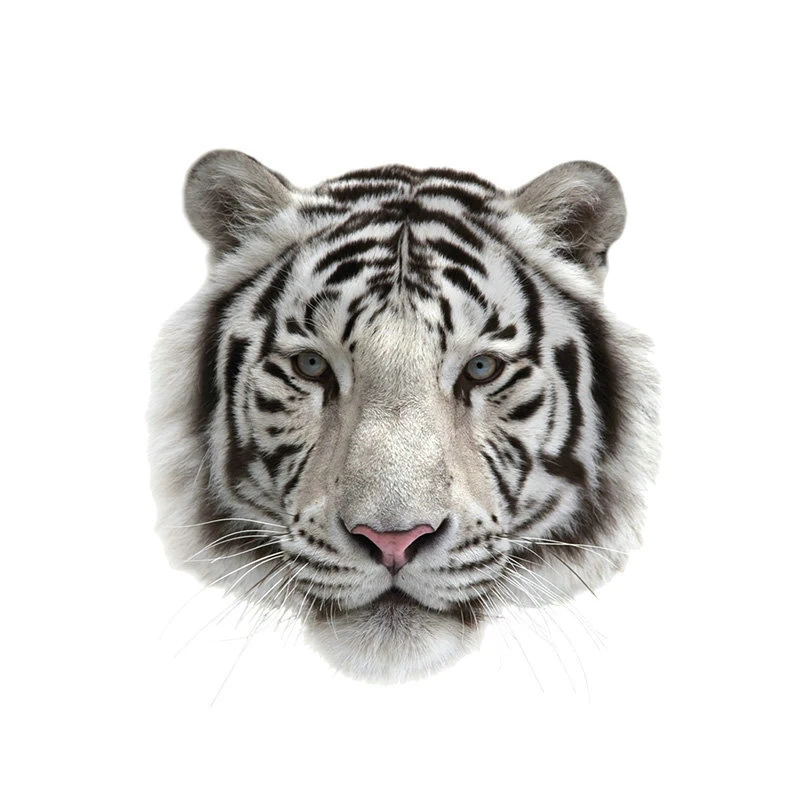 

2 Pieces Tiger Iron on Patches for Clothes Sticker Printed Jeans Clothing A-level Washable Heat Transfers Patch