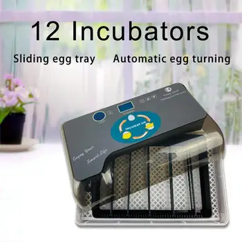 

LanLan 12 Eggs Incubator Temperature Control Device Mini Home Incubators for Chicken Quail Duck Bird Eggs LCD Display