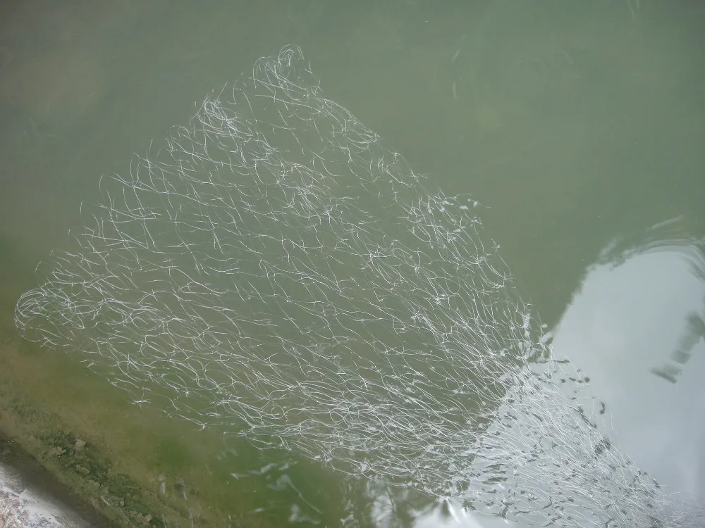 1 шт. 12-Sized медь весна разъем рыболовная сеть с световой бусины карп чистая рыболовные снасти рыболовные приманки