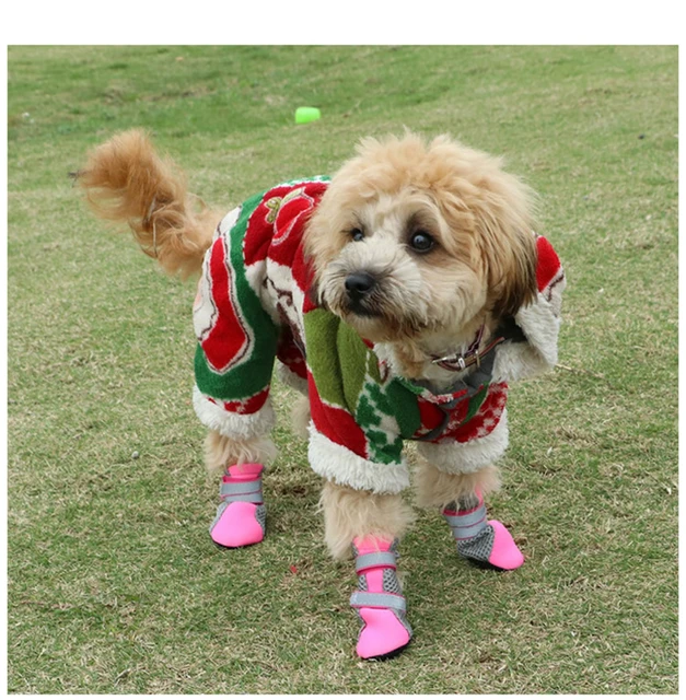 Dog sales running shoes