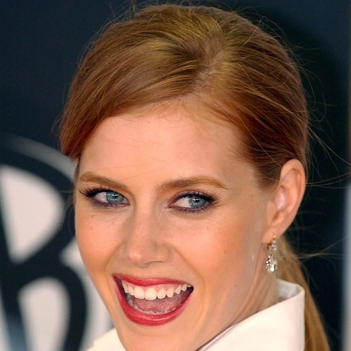 Amy Adams At Arrivals For The 11Th Annual Broadcast Film Critics Choice Awards Photo Print (16x20) |