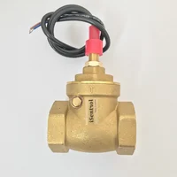 USP-FS10TA Весло Тип Датчик потока геркон переключатель латунь Магнитный сенсор переключатель 8-50л/мин 250 В DC 70 Вт 2 провода Saier переключатель - изображение