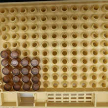 120x коричневая клетка CupsSystem Пчеловодство вывод маток Cupkit коробка Cupularve инструменты Пасечник инструмент