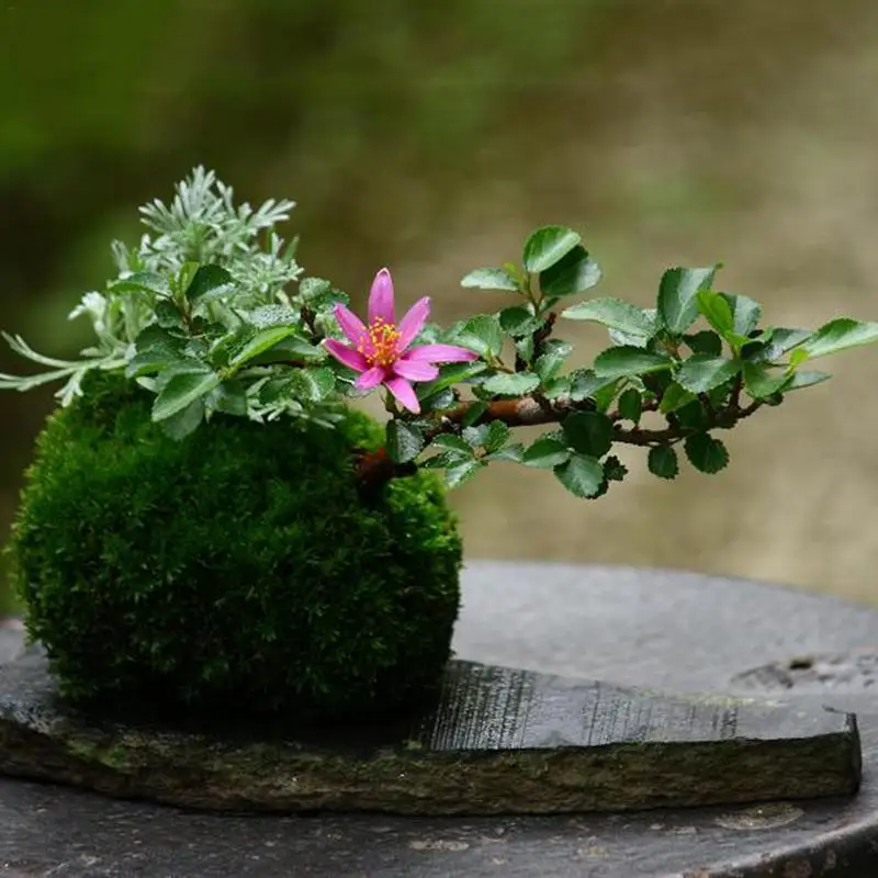 Креативное плетение мох шарообразные цветочные горшки подставка для кастрюли натуральный горшок искусственный бонсай абсорбирующий домашний садовый декор