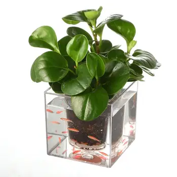 

Innovation Double Fish Farming Flower Pot Plastic Transparent Desktop Cube Flowerpot Resin Basin Automatic Irrigation System