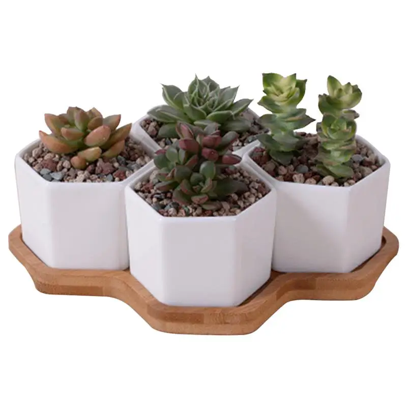 

4PCS Succulent Pot Set Decorative Simple Hexagon Plant Pots with Bamboo Tray