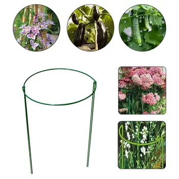 

2PCS Small Garden Plant Support Rings for Clematis Morning Glory Lily Tomato Cucumber Sweet-Pea