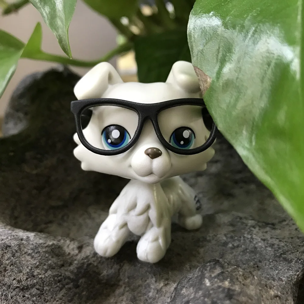 

Collie Gray White with Blue Eyes #363 Collie Puppy with Accessories Mini Glasses Rare Figures Best Gift for Kids