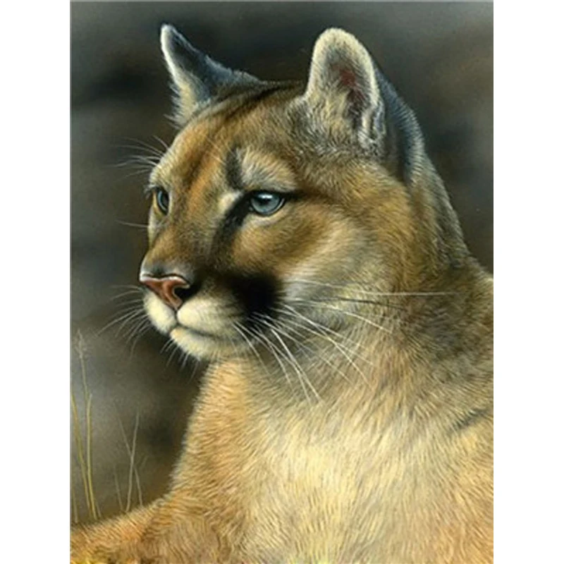 

Frameless Leopard Animal DIY Canvas To Paint By Numbers Wall Art Picture Paint By Number Canvas Painting For Home Decor Artwork