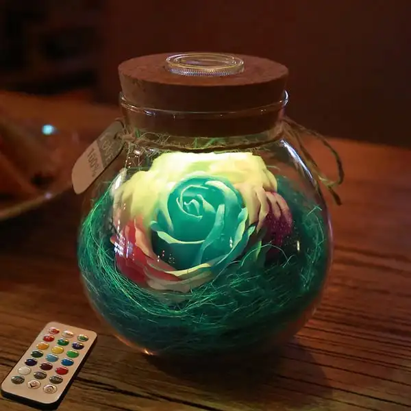 Светодиодный светильник с питанием от батареек Beauty Rose and Beast красными цветами