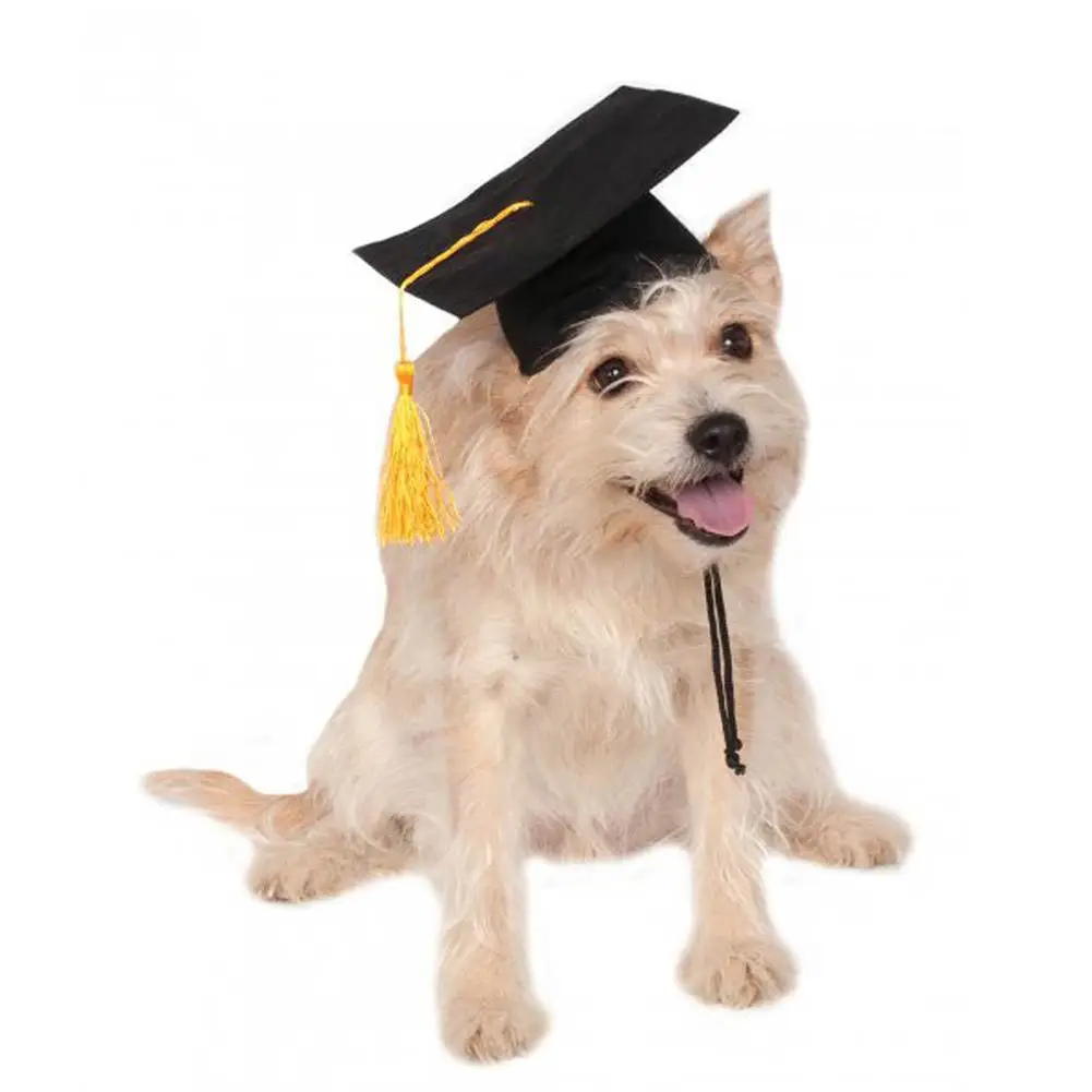 Милый щенок доктор Hat Индивидуальные собака мерный колпачок студент кисточкой академический Кепки шапка для собак Одежда для животных