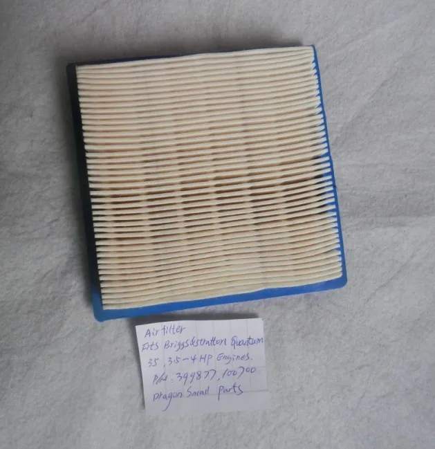Air Filter Briggs & Stratton 399877 100700 3