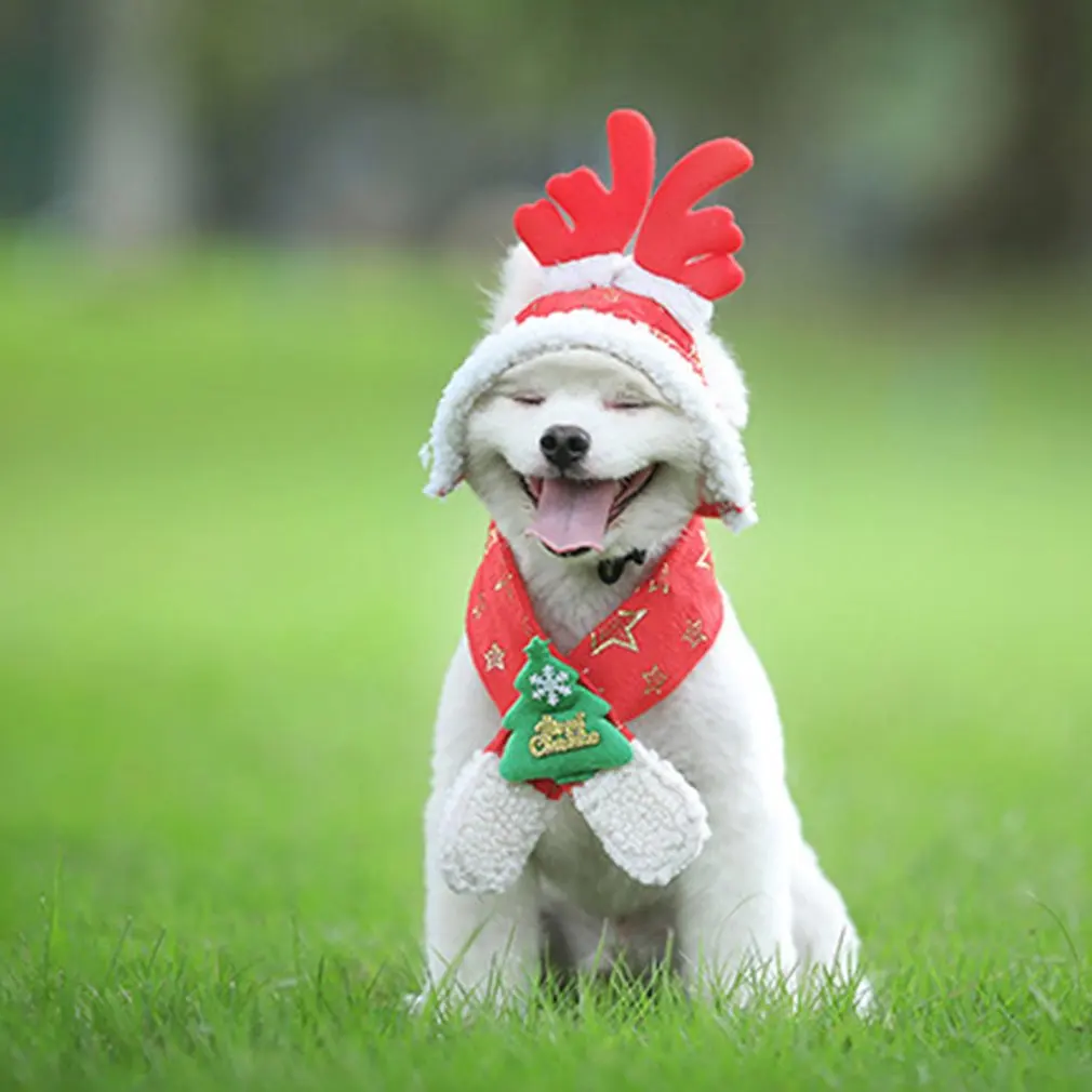 Собака праздник Рождество шляпа щенок собака Санта костюм с головным убором Новогодняя Коллекция Аксессуары для домашних животных для кошки Кролик Хомяк морская свинка
