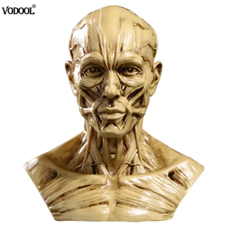 

High Precision Resin Simulation Muscle Skull Medical Mannequin Bust Personalized Home Handicraft Halloween Decoration