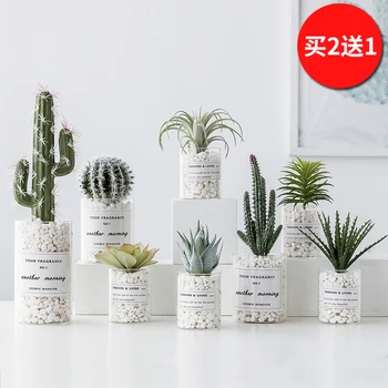 

Northern Pot Culture Cactus Fleshiness Simulation Flower Desktop Plant Small Goods Of Furniture For Display Rather