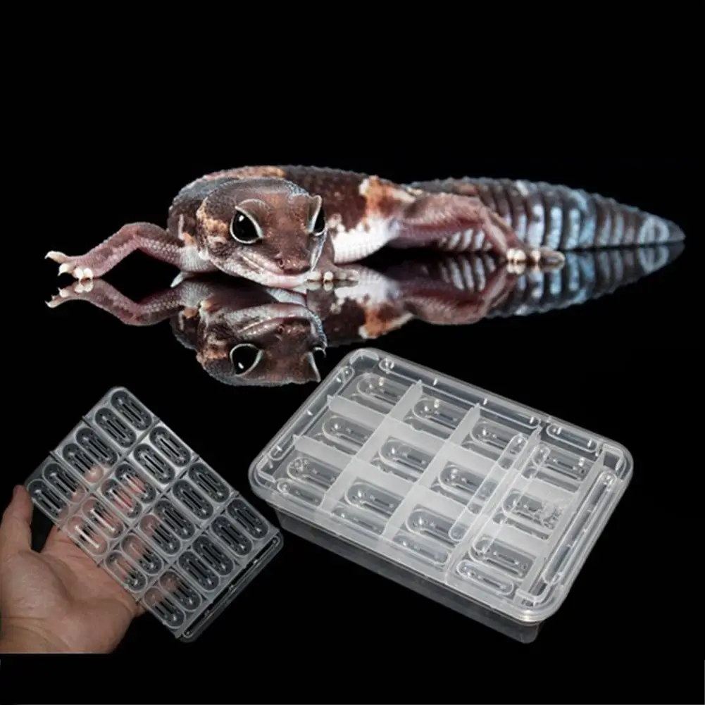 

AsyPets 24Holes Reptile Egg Incubation Tray for Tortoise Lizard Chameleon Eggs