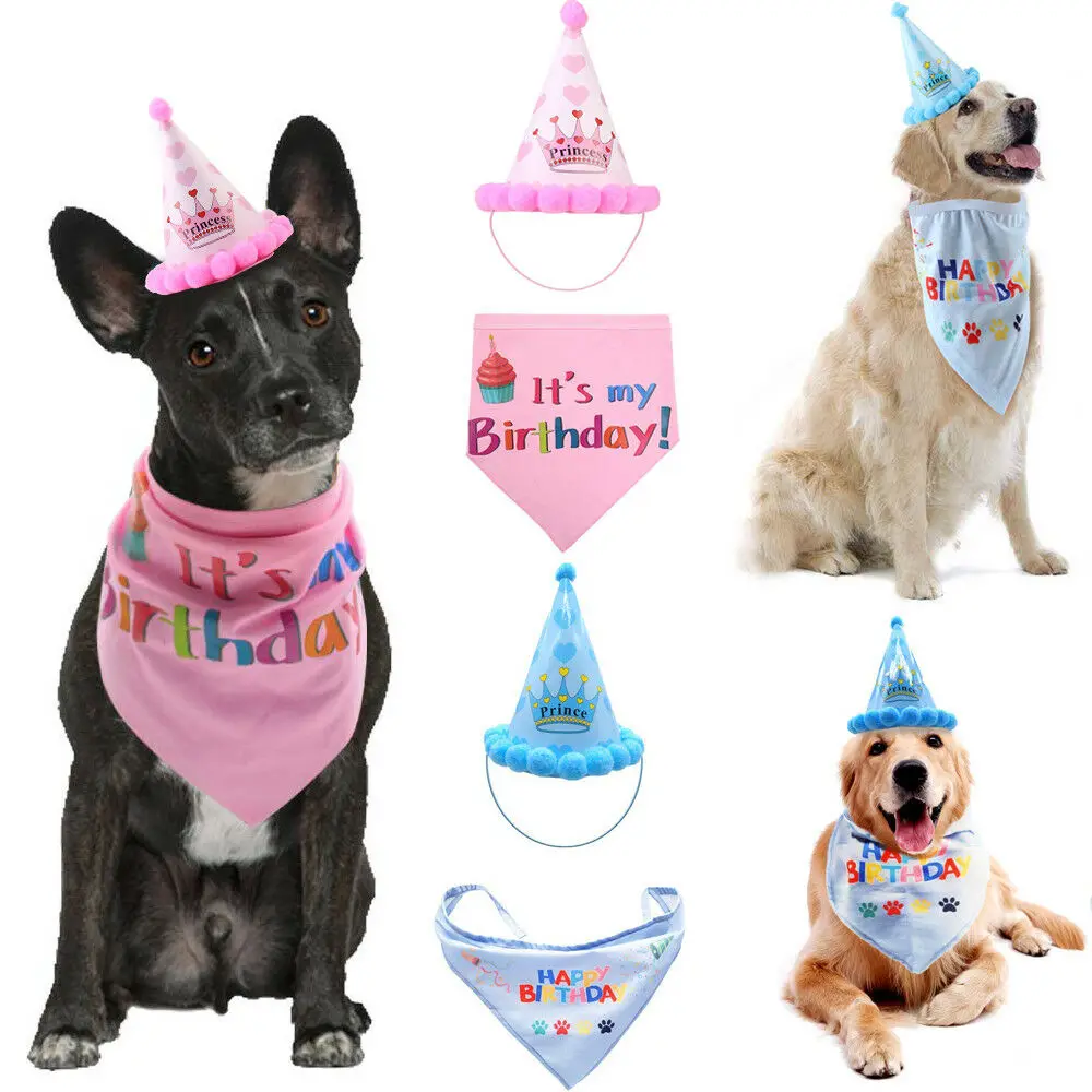 

Pets Dog Headwear Accessory Cat Dog Birthday Hat Scarf For Pet Dog Cat Puppy Party Costumes Accessory Dog Cute Hat Dog Deco
