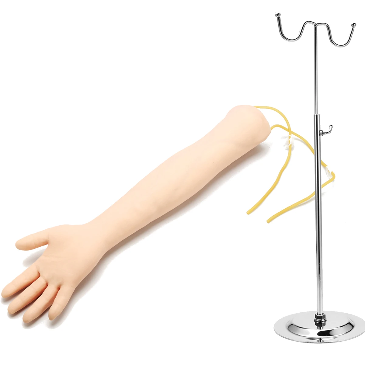 

IV Practice Arm Phlebotomy Venipuncture Model With Bracket Adult Arm Venipuncture Training School Educational Medical Model New