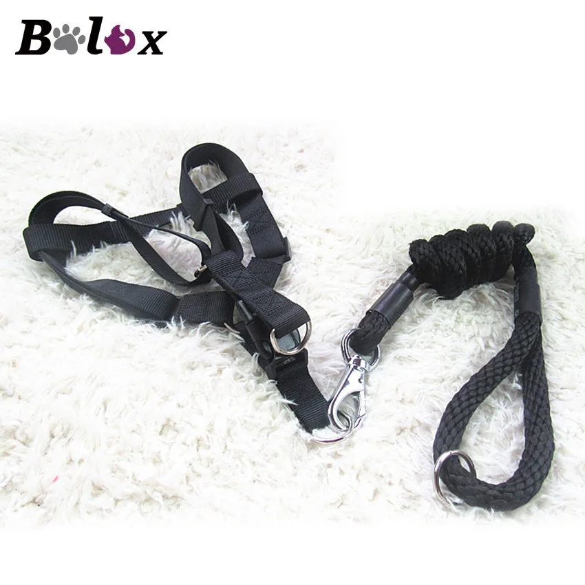 

Nylon Pet Leashes Dog Harness Leash Lead Set For Small Medium Dogs Puppy Chihuahua Yorkie 1M 1.2M 1.5M Adjustable Dog Leash