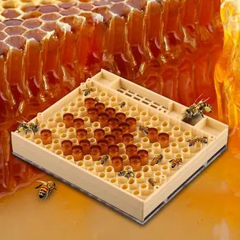 

Hot Sale Beekeeping Tools Equipment Set Queen Rearing System Cultivating Box 110pcs Plastic Bee Cell Cups Cup Kit Queen Cage