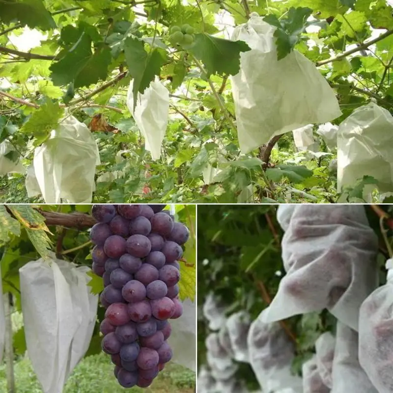 

100 PCS Non-woven Fabrics Bird Bees Insect Repenller Film Fruit Grape Protector Pest Control Organic Fruit Plant Cover Bag