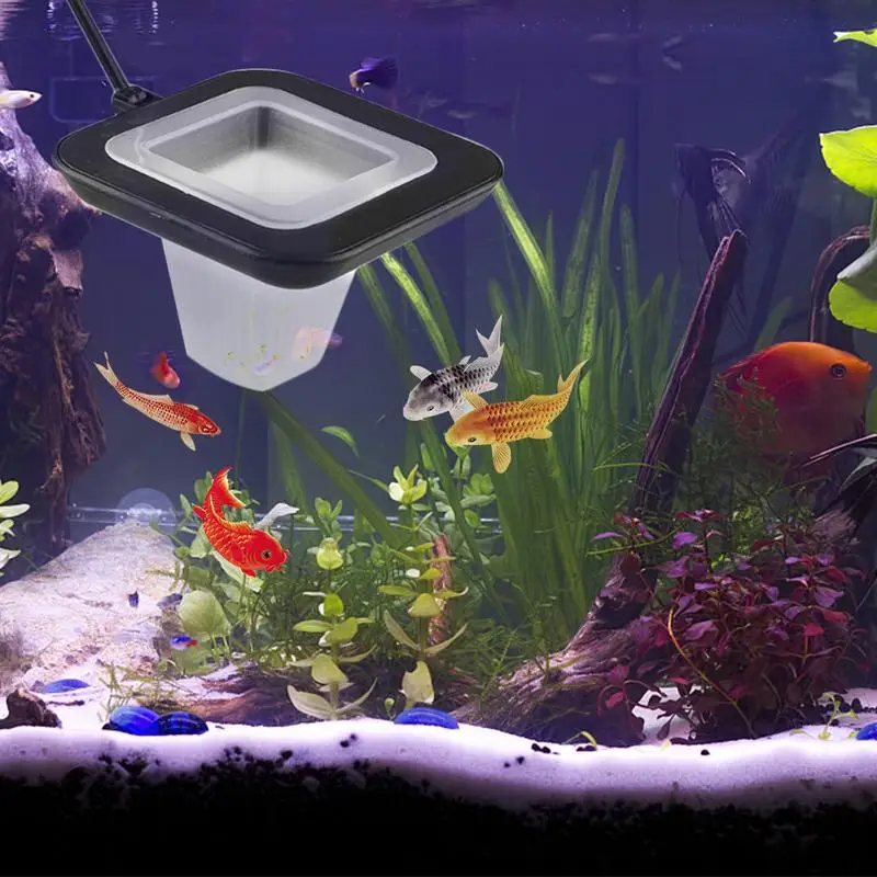 

Aquarium Fish Tank Fish Feeding Cup Red Worm Cup Funnel Cup Cone Feeder With Suction Cup Fish Food Feeding Tool