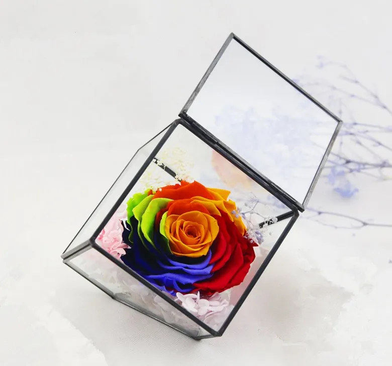 

Whosale Handmade Tabletop Glass Greenhouse/Glass Hanabusa Lid Terrarium House for Plants/Flower/Fish Cube Vase Glass Terrarium