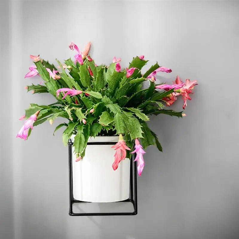 

1 Set Square Iron Ceramic Wall Mounted Nordic Green Plant Flower Succulent Stand Pot Holder