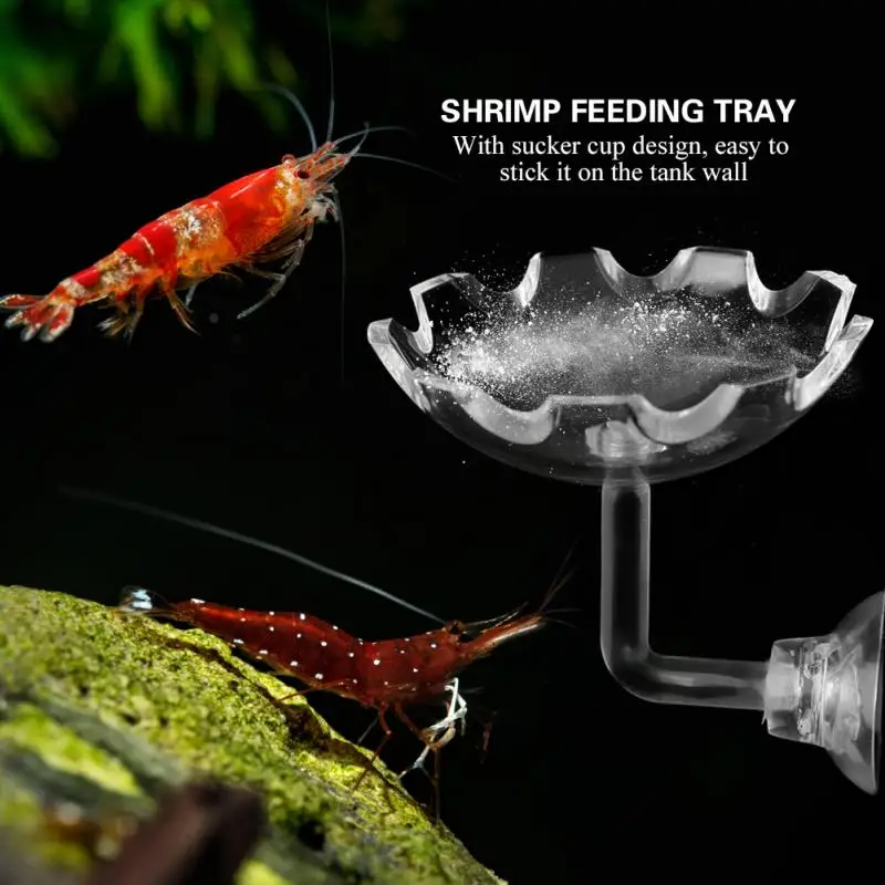 

Transparent Acrylic Aquarium Shrimp Feeding Dish Bowl Tray Water Food Dish Feeder Bowls