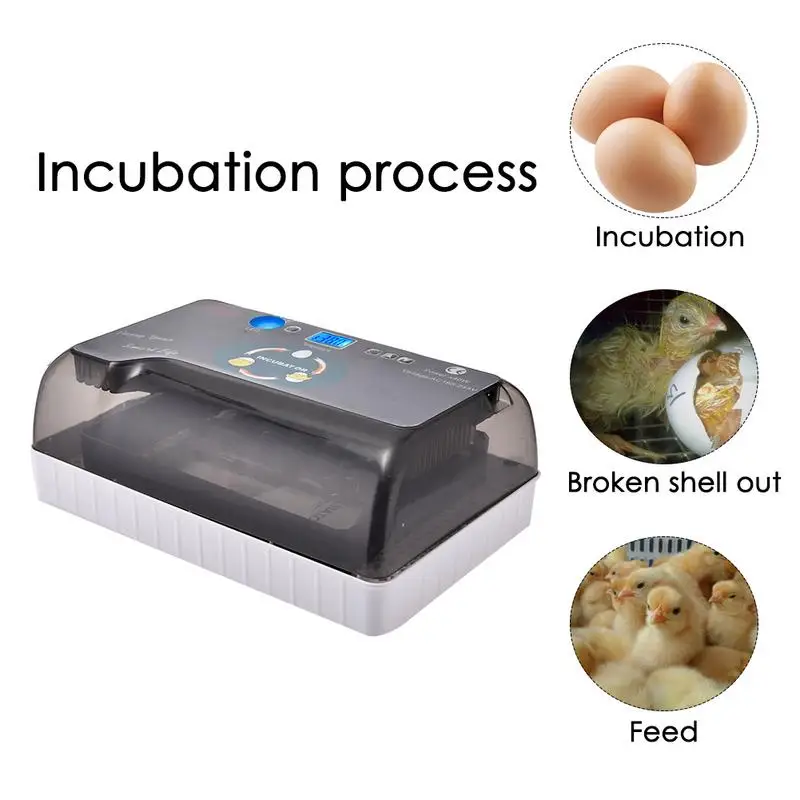 Incubator Egg Incubator Digital Fully Automatic Hatcher For Duck Bird Turkey Egg Home Use EU/UK/US Plug Available Incubator Egg Incubator Digital Fully Automatic Hatcher For Duck Bird Turkey Egg Home Use EU/UK/US Plug Available