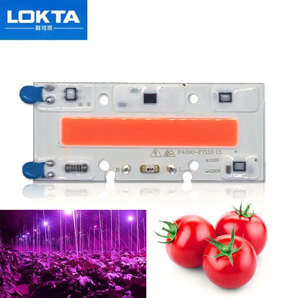 

10 PCS Led Grow Light Chip 30W 50W 70W Full Spectrum 380nm~780nm AC Best For Hydroponics Greenhouse DIY for COB Grow Lamps