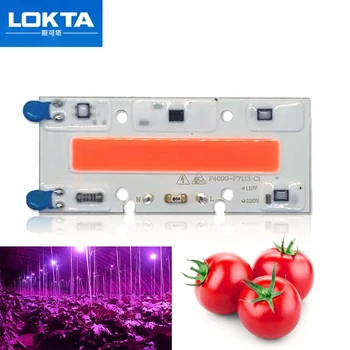 

10 PCS Led Grow Light Chip 30W 50W 70W Full Spectrum 380nm~780nm AC Best For Hydroponics Greenhouse DIY for COB Grow Lamps