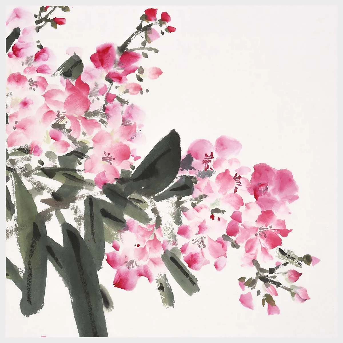 Ingunnsupermus Comprar Crested Myna De Flor Y Pajaro Chino