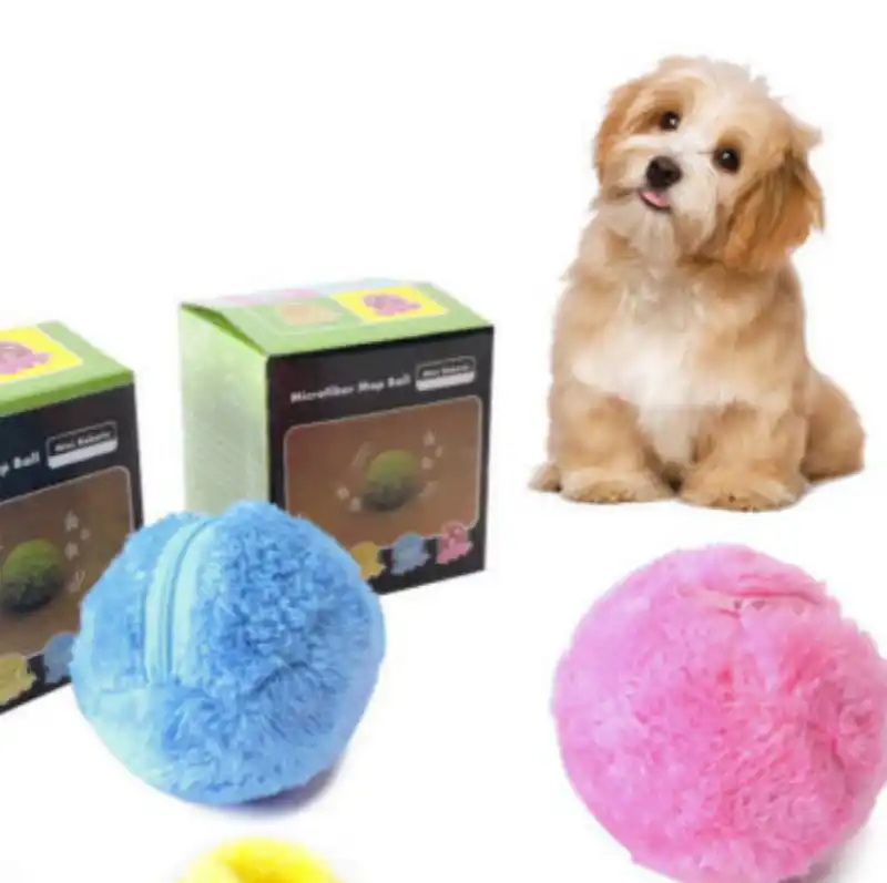 magic ball dog toy