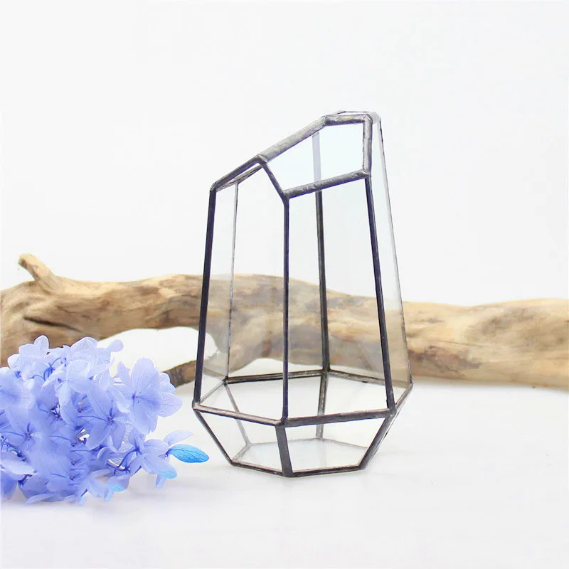 

Irregular Glass Flower Pot Geometric Terrarium Tabletop Succulent Plant Box Gift