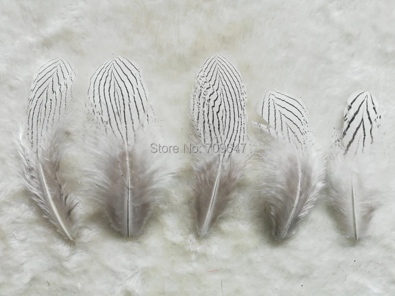 

100pcs/lot 8-12cm Natural SILVER PHEASANT BODY PLUMAGE FEATHERS for DIY Craft,Fly Tying Materials,Chicken,Plumas Decorativas