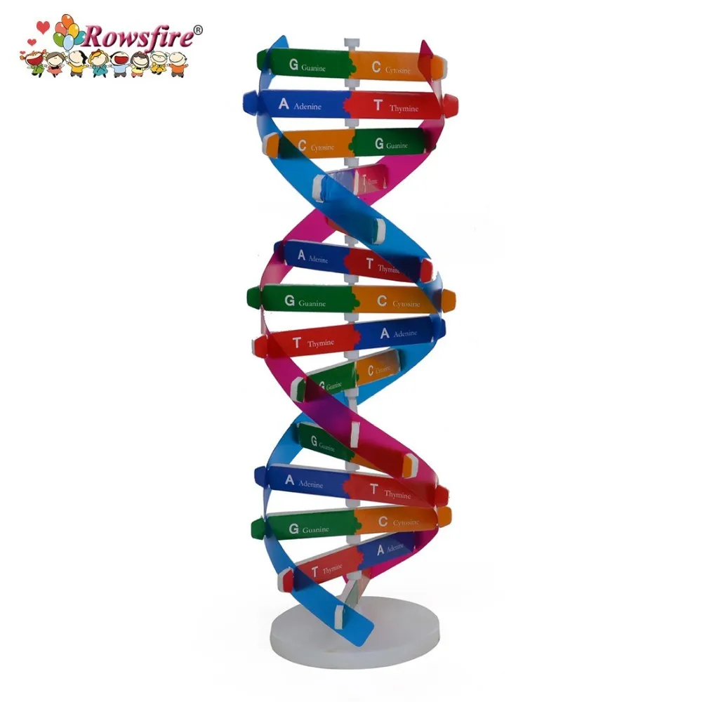 dna double helix