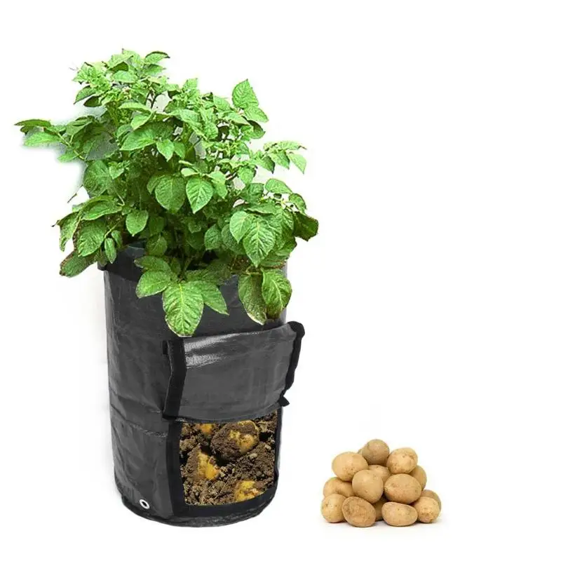 

Potato Strawberry Planter Bags For Growing Potatoes Outdoor Vertical Garden Hanging Open Style Vegetable Planting Grow Bag