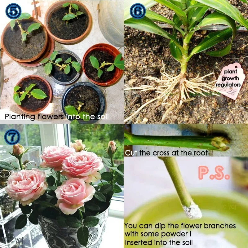 Bonsai Rapid Growth Root Fertilizer Hormone Regulators Seedling Recovery W4J7 Bonsai Rapid Growth Root Fertilizer Hormone Regulators Seedling Recovery W4J7