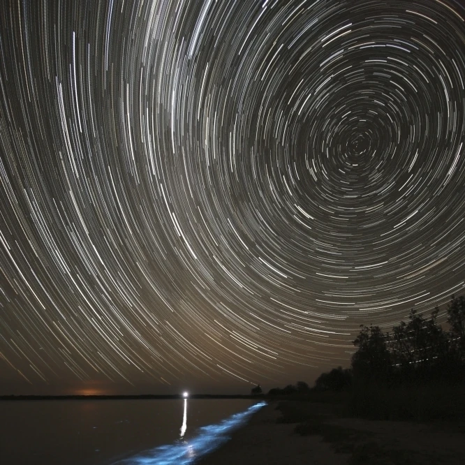 Star trails над bioluminescence in the Gippsland Lakes Австралийский постер принт (11x17) | Дом и сад
