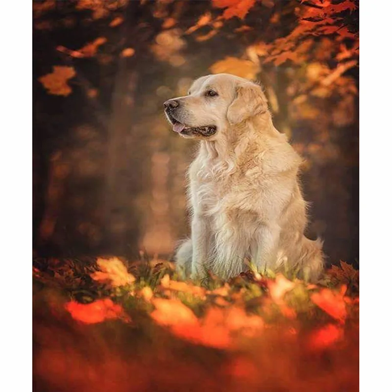 

DIY Embroidery Diamond Painting Dog and Fallen Leaves Diamond Mosaic Full Square 5D Diamant Painting Golden Retriever Unframed
