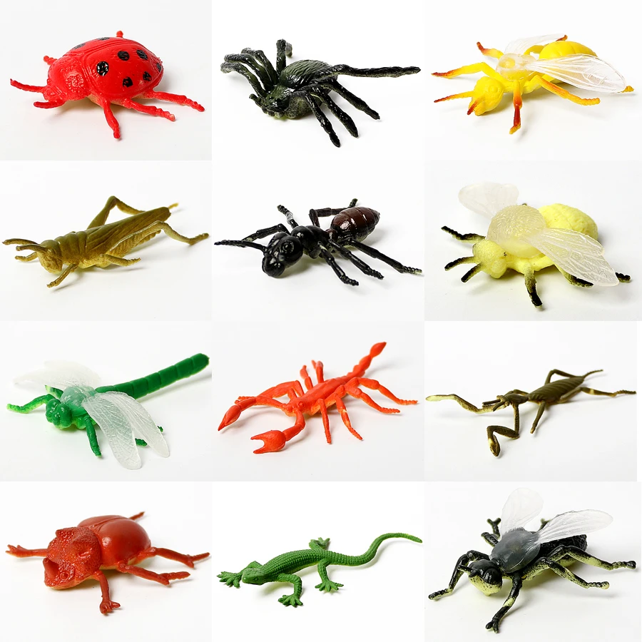 science and nature toys