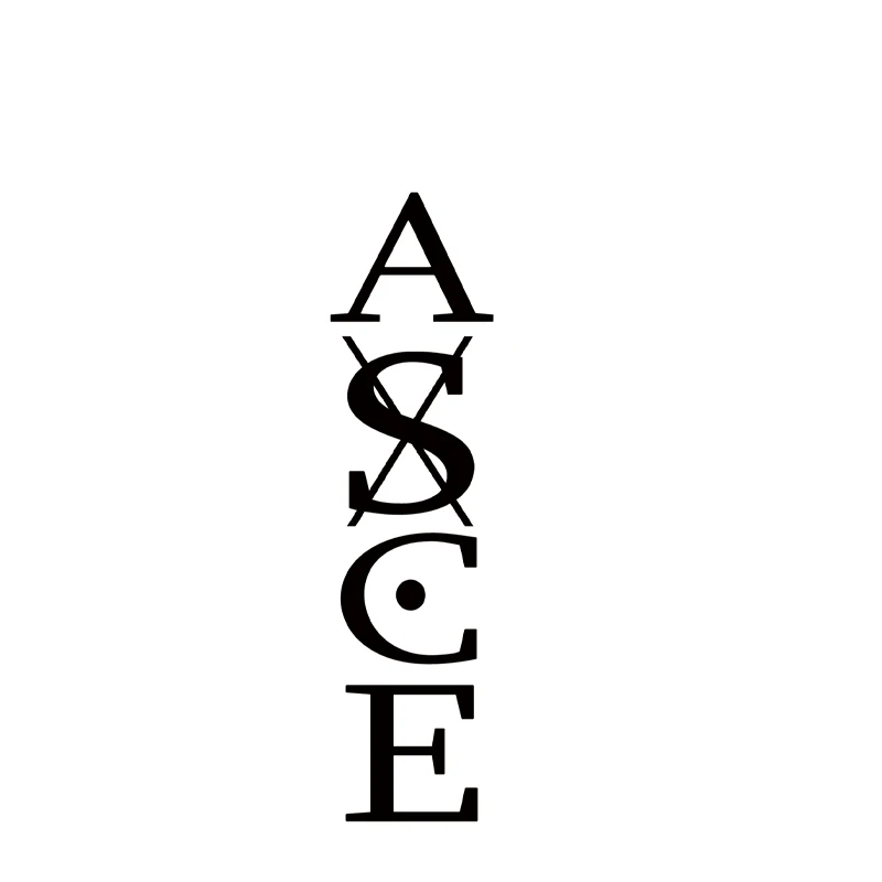 One piece Ace Cosplay Anime Cartoon Logo Props Waterproof Animation Cartoon Logo Temporary