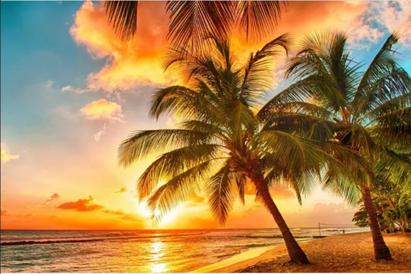 Full Square/Round Diamond Painting Seaside Coconut Tree 5D DIY Embroidery Picture of Rhinestone Decor Home Gift |